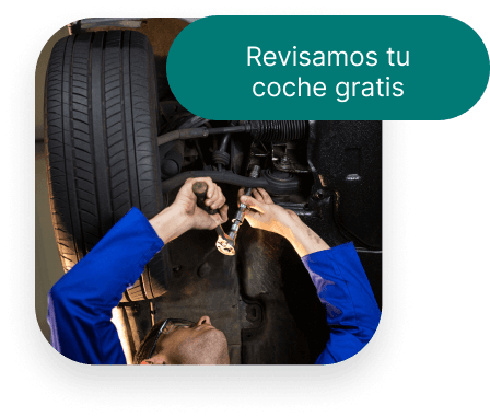 Imagen 7